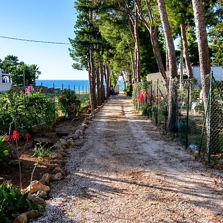 Ferienhaus Appartamento I Tramonti Di Cofano Castelluzzo